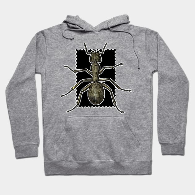 Lonely queen ant Hoodie by Marccelus